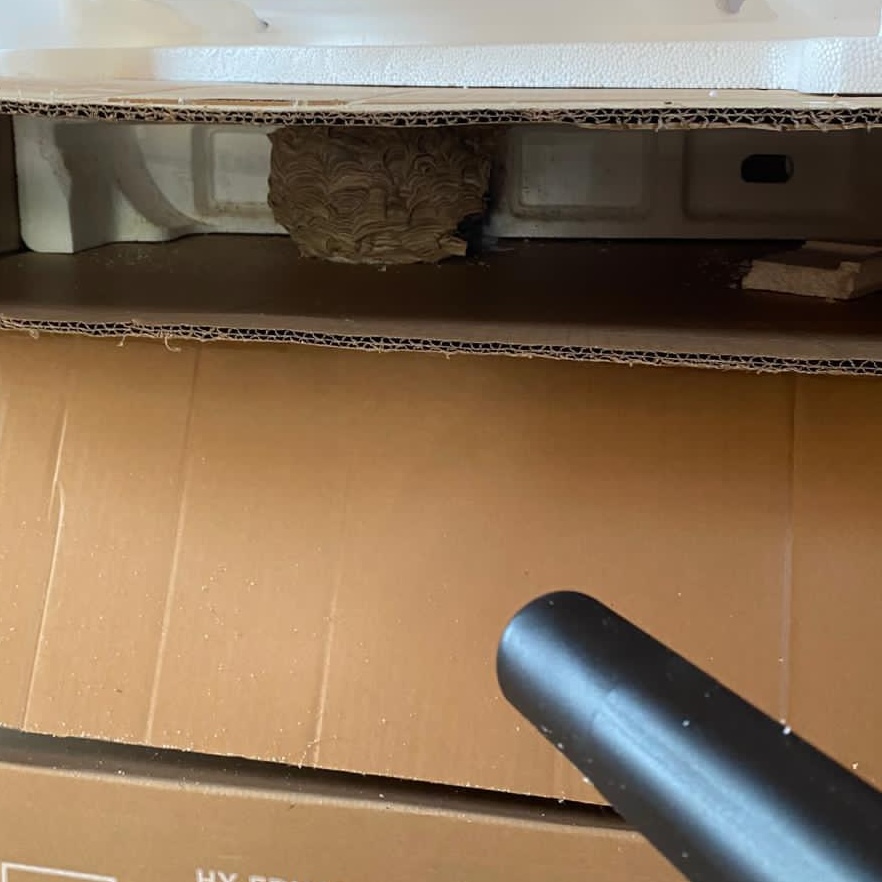 A wasp nest inside a cardboard box being given heat treatment to get rid of the nest